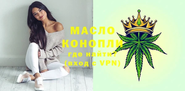 молекула духа Ладушкин