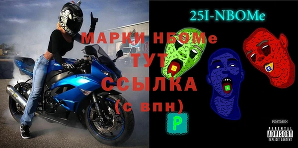 молекула духа Ладушкин