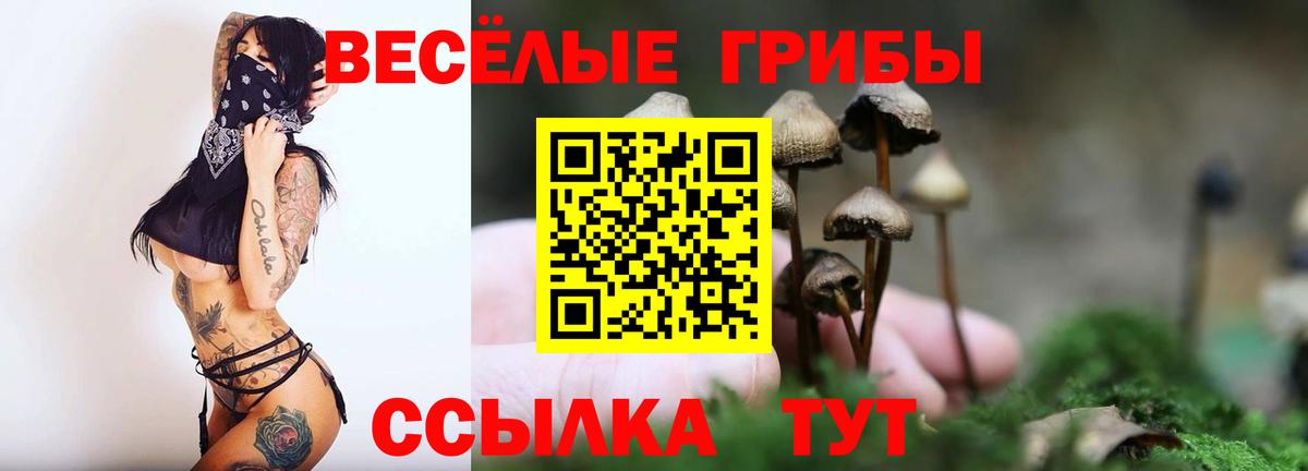 Псилоцибиновые грибы Psilocybine cubensis Курганинск