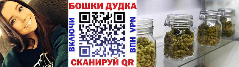 где найти   Курганинск  Бошки Шишки White Widow 